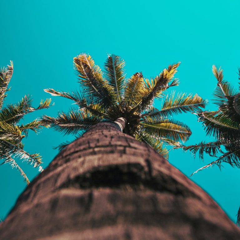 Tocas da Ilha